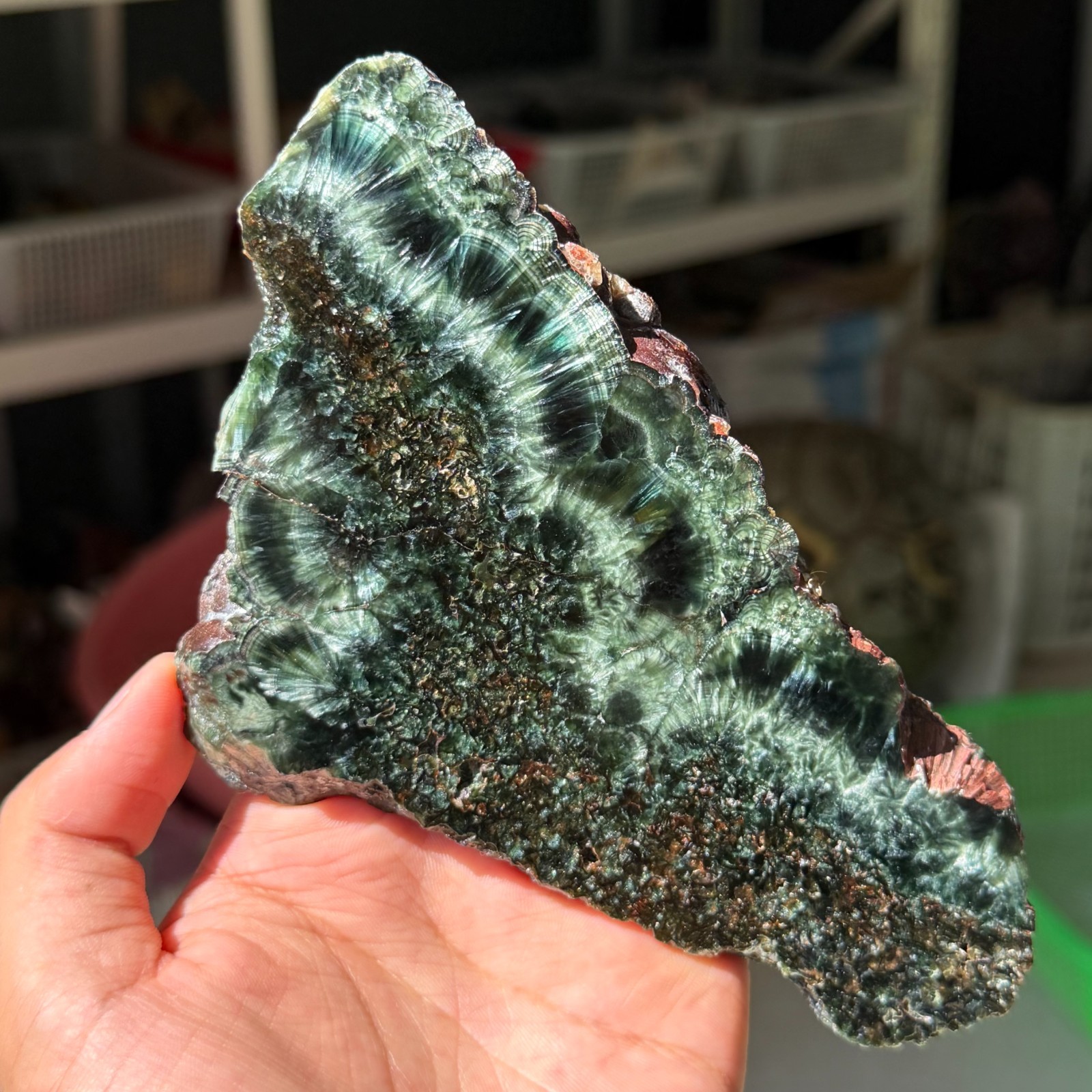 216g Rare Natural Seraphinite Slab Quartz Crystal Reiki Healing (Collection Lv.) 216g Rare Natural Seraphinite Slab Quartz Crystal Reiki Healing (Collection Lv.)