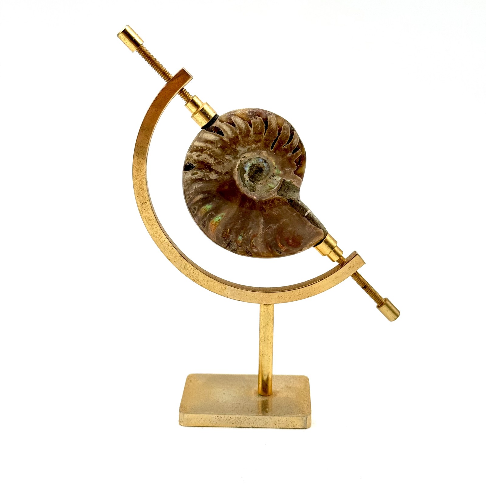 Iridescent Ammonite Fossil Specimen with Brass Display Stand - Collectible Iridescent Ammonite Fossil Specimen with Brass Display Stand - Collectible