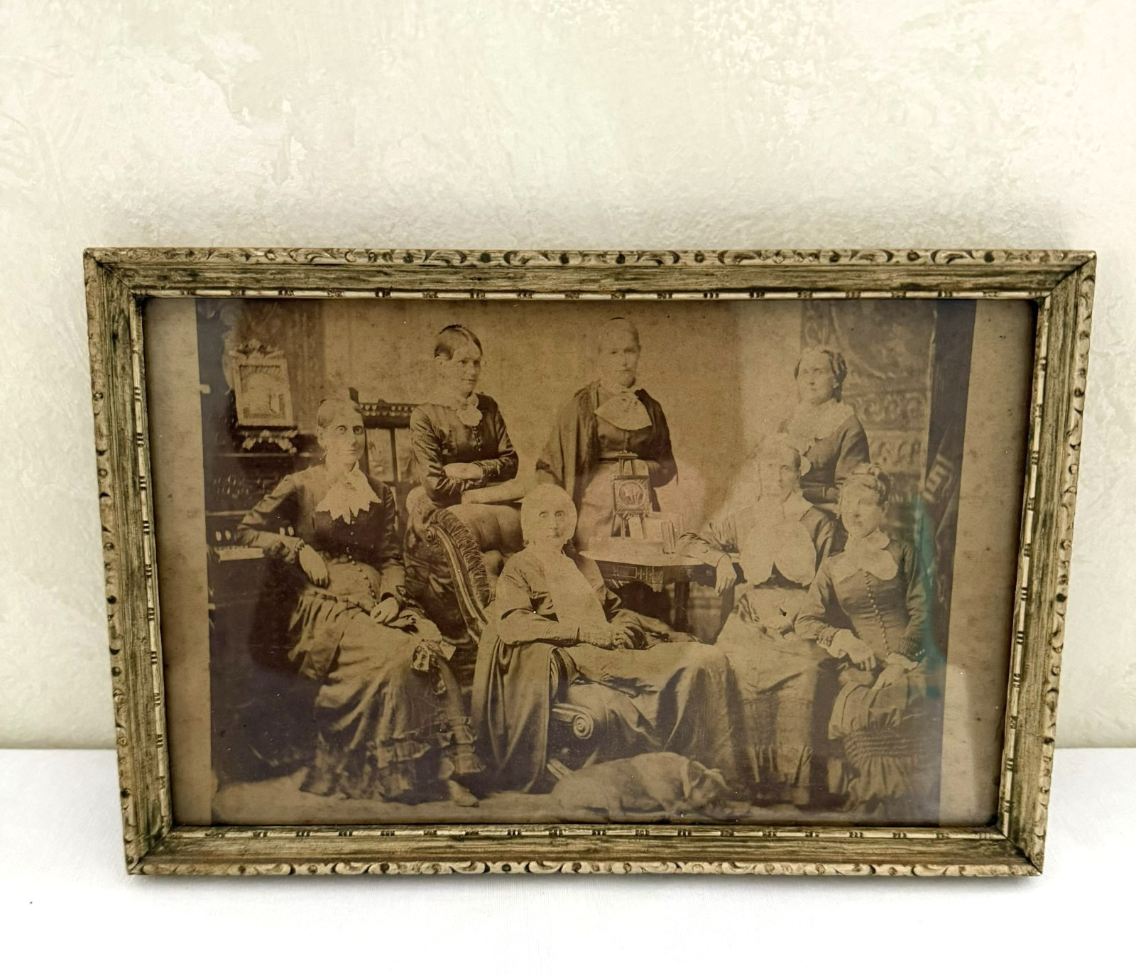 Antique 1800's Sepia Photograph Owsley Women Lincoln Chautauqua Illinois Dog Antique 1800's Sepia Photograph Owsley Women Lincoln Chautauqua Illinois Dog