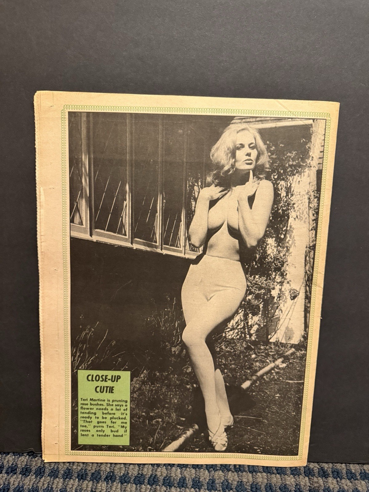 1970 Jan 26 National Close-Up Newspaper, Close-Up Cutie: Teri Martine (VRN10C-1 1970 Jan 26 National Close-Up Newspaper, Close-Up Cutie: Teri Martine (VRN10C-1