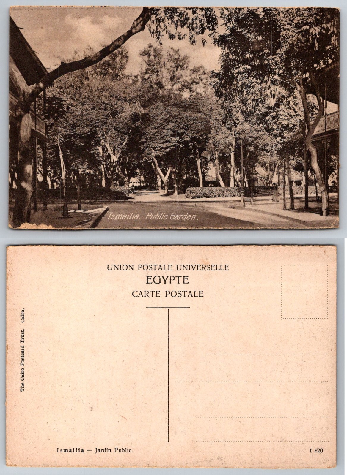 Ismailia Public Garden Egypt Trees Cairo Trust Postcard