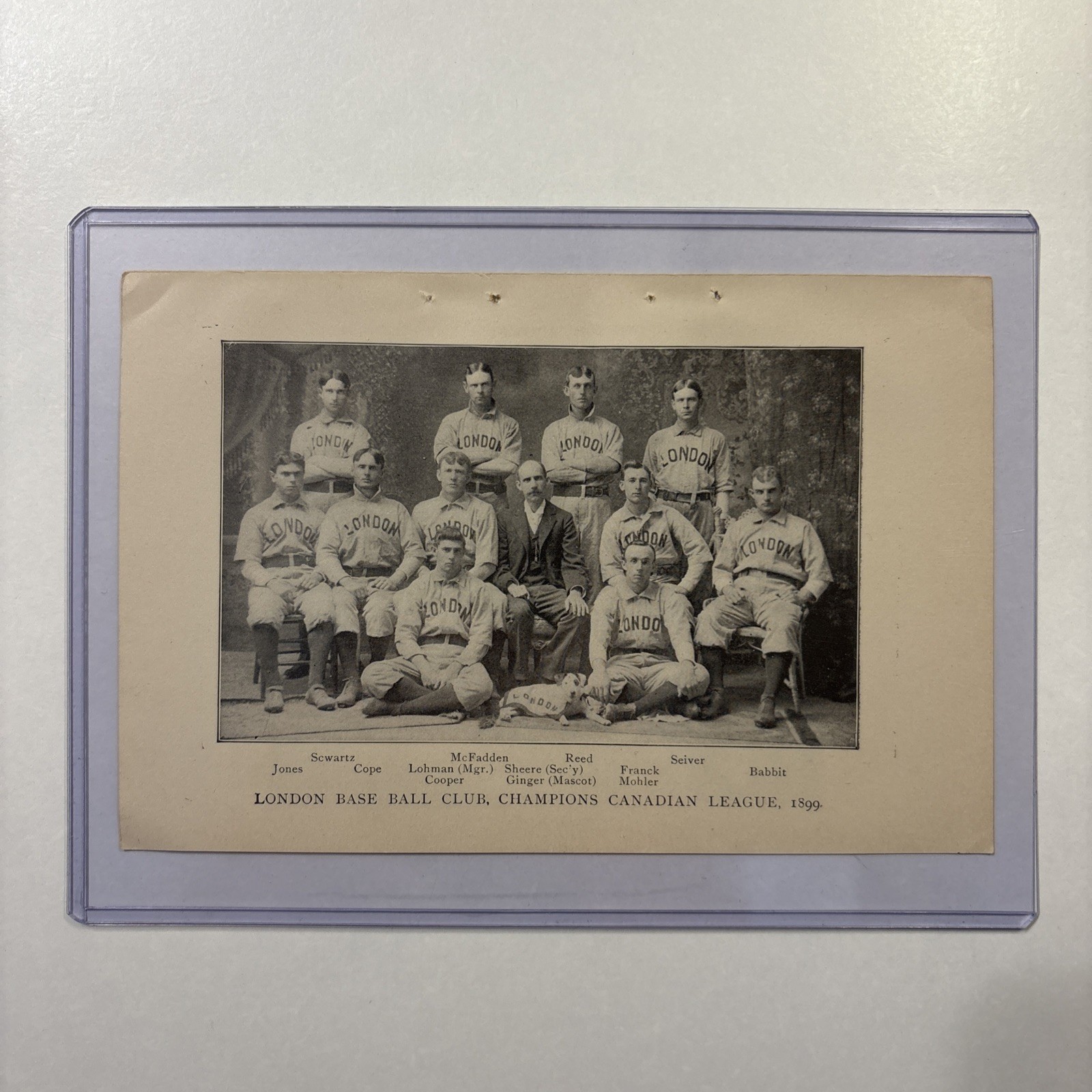 1899 London Ontario Canada & New Haven CT Baseball Team Pictures Rare Antique
