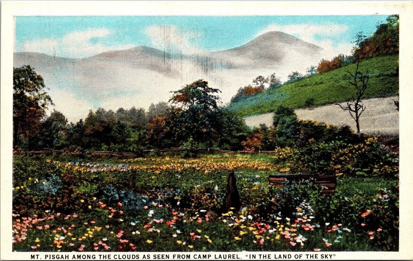 Mt Pisgah Among Clouds Camp Laurel Land Sky WB Postcard VTG UNP Curt Teich