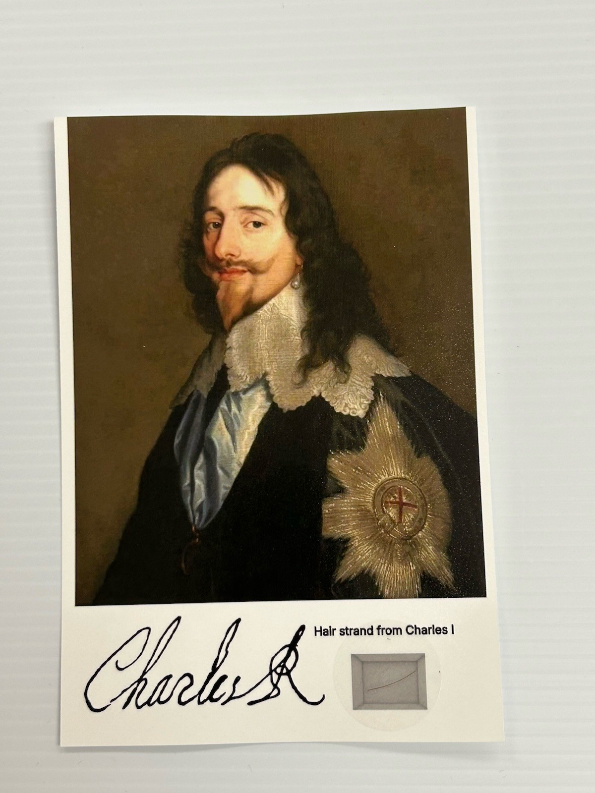 Charles I Hair Strand Lock Piece Speck Relic History Royal Display King England