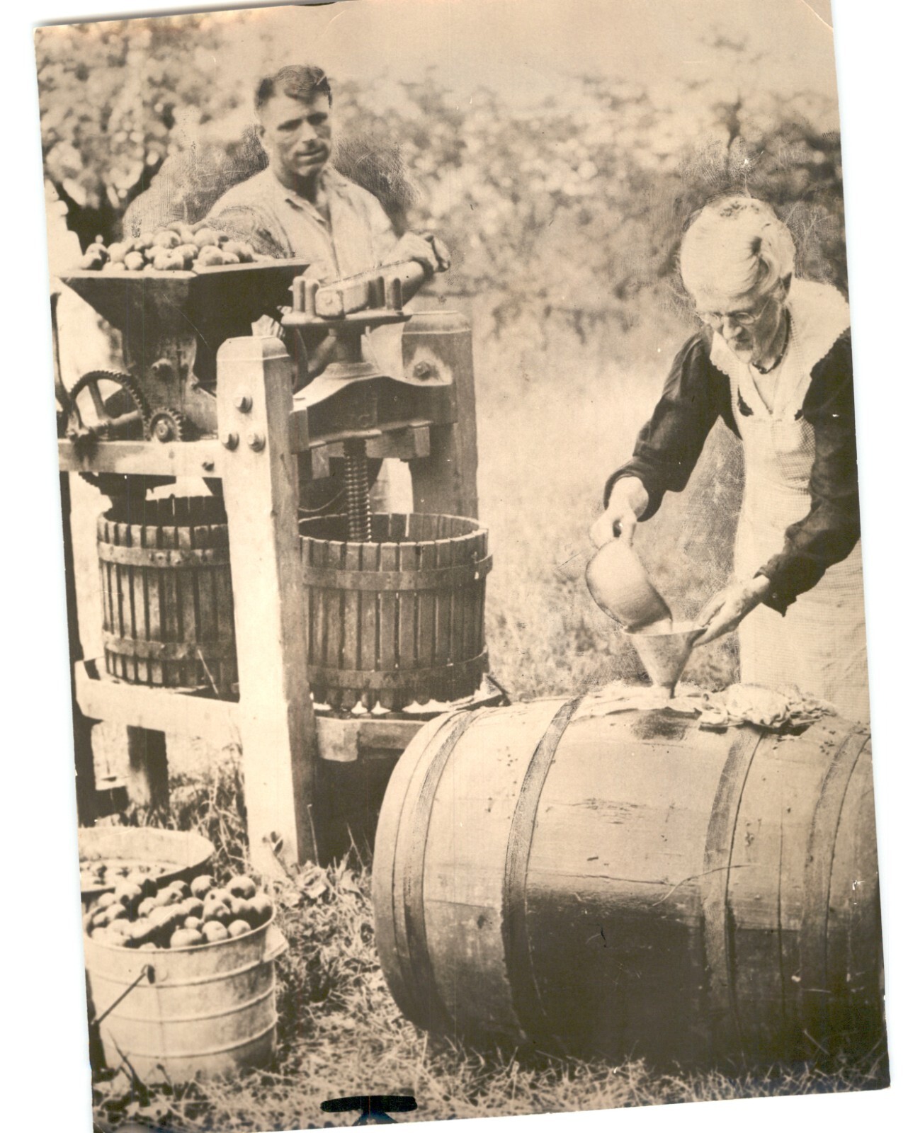 Beautiful Rural VINTAGE 1960 Press Photo WINEMAKING Elderly Woman & Man