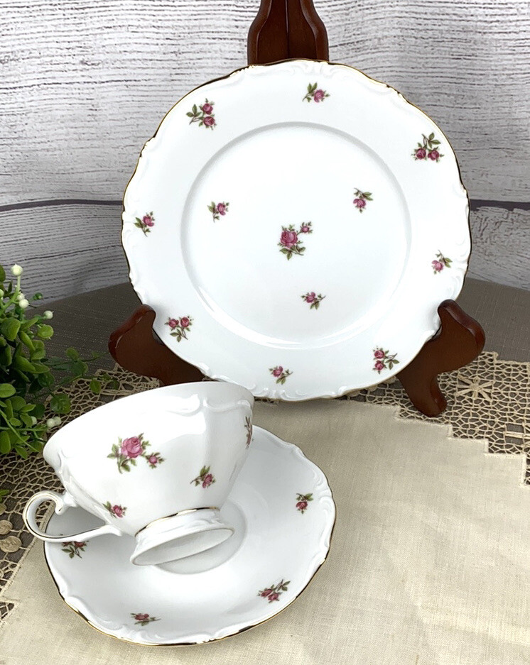 Vtg Oscar Schaller Winterling  W. Germany Bavaria Tea Cup Saucer Plate Roses