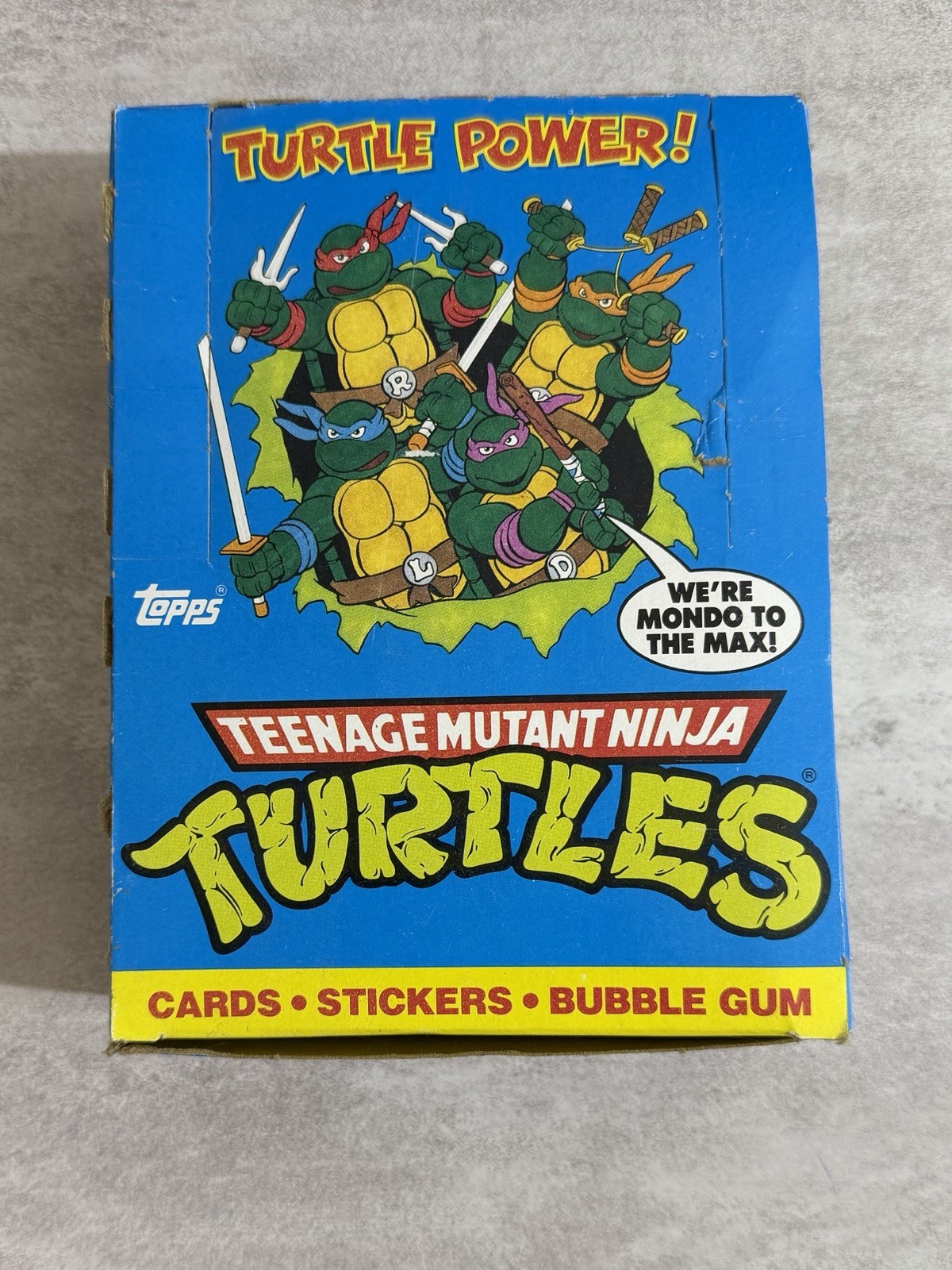 1989 TEENAGE MUTANT NINJA TURTLES SERIES 1 TRADING CARD BOX COMPLETE 48 PACKS 