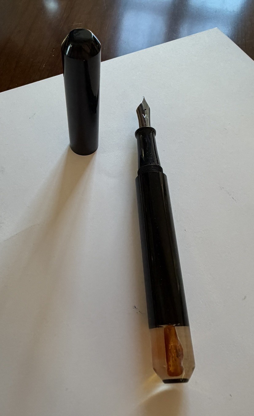 Unique Pen with Ancient Life Form Preserved in Baltic Amber. EF nib. $45.00