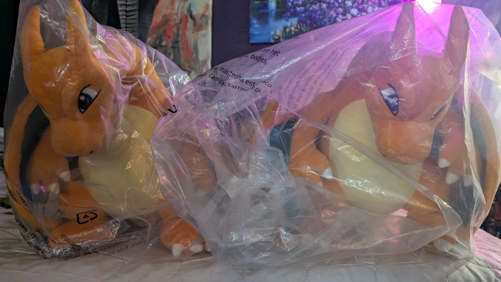 Pokemon 24\
