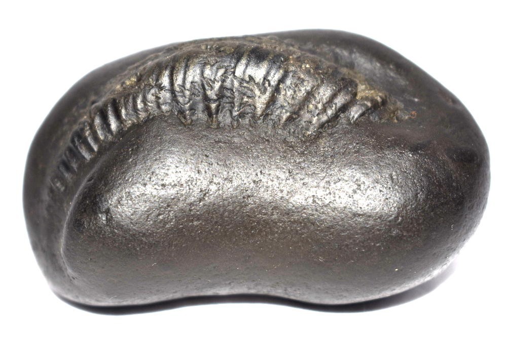 Sarvottam Adwatiya Golden Laxmi KalpaVriksha Hayagriva Shaligram - Gandaki River