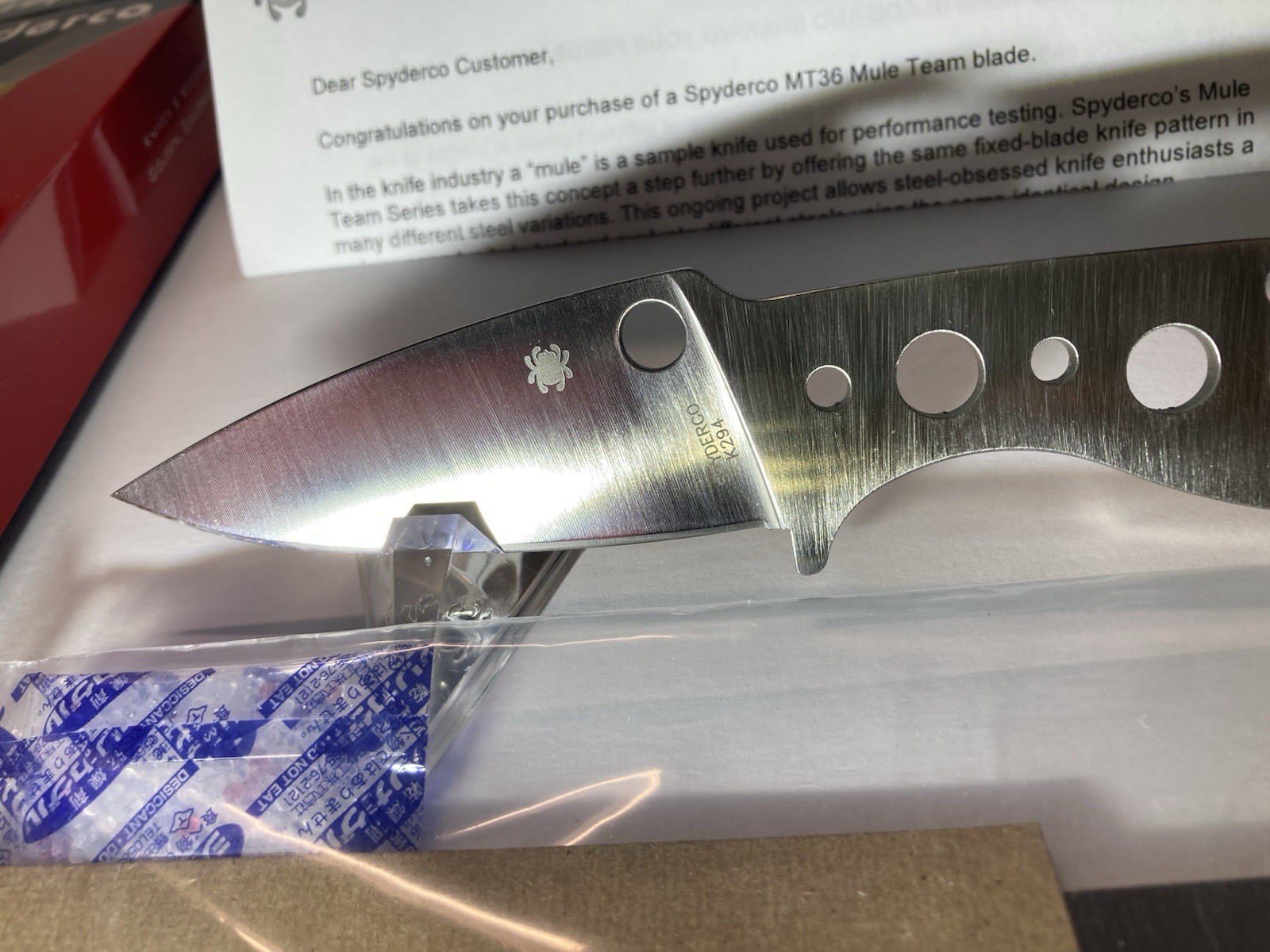 NIB (New In Box) Spyderco Mule Team MT36P K294 steel fixed plain edge MT 36P 10V