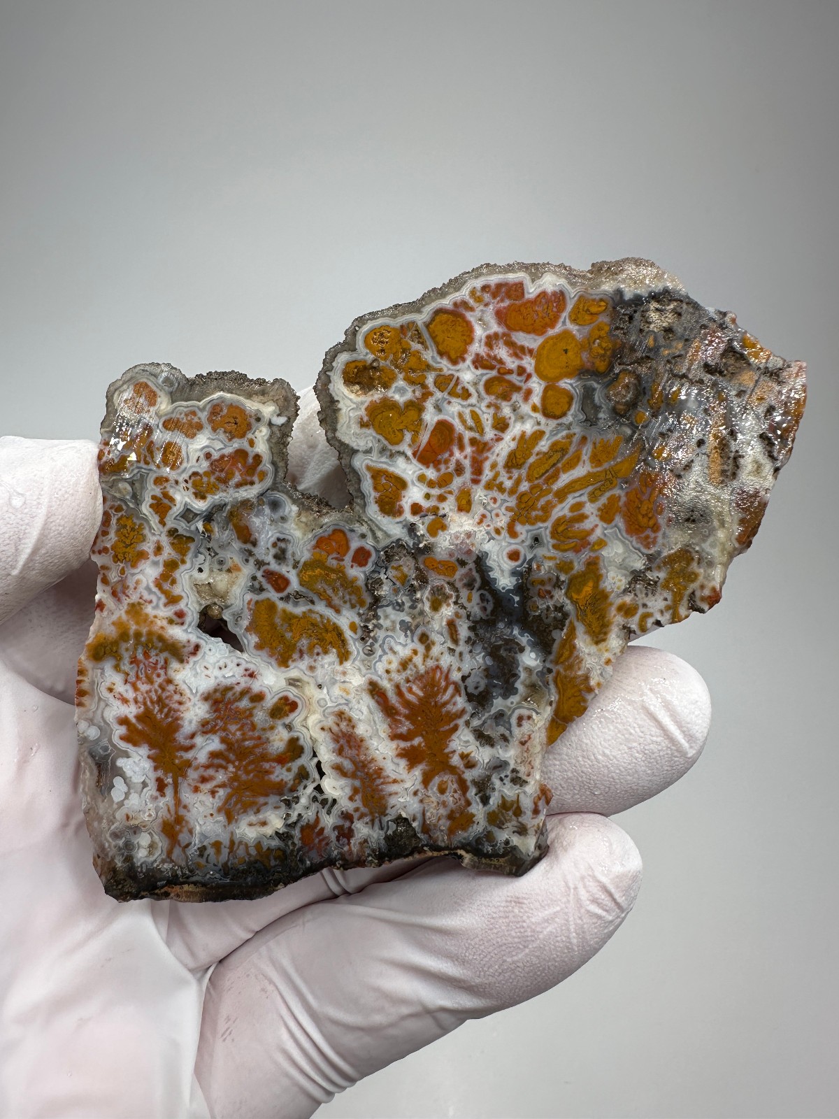 RARE Wingate Pass Plume Agate End-Cut Slab (a.k.a. Death Valley Plume) RARE Wingate Pass Plume Agate End-Cut Slab (a.k.a. Death Valley Plume)