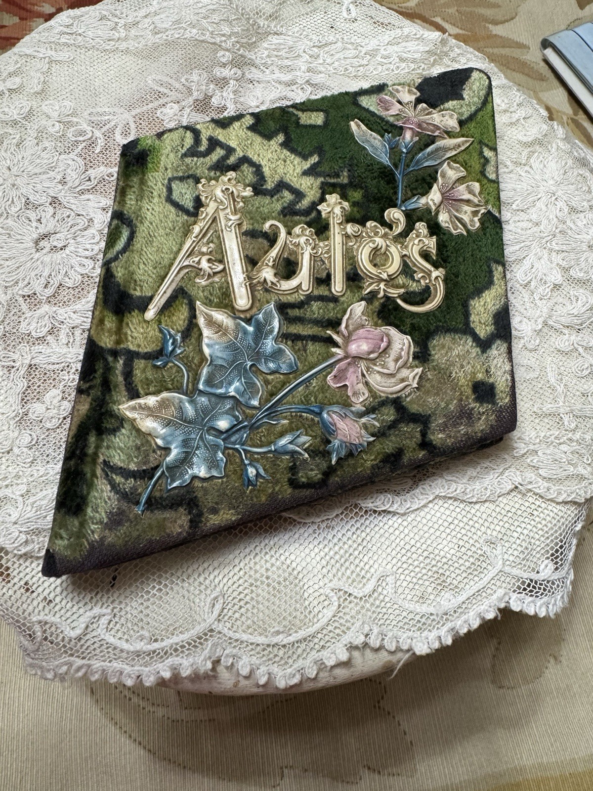Antique 1907 Victorian Velvet Autograph Album Book Celluloid Floral Inscriptions