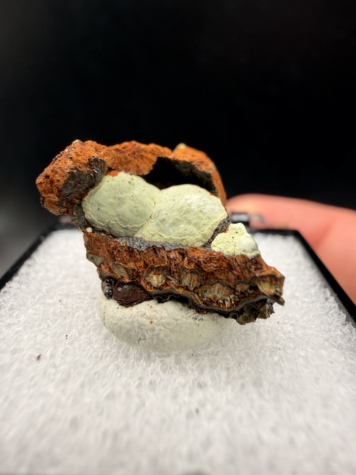Rare Kidwellite Spheres w/ Rockbridgeite & Beraunite (Thumbnail) - York Mine, AR Rare Kidwellite Spheres w/ Rockbridgeite & Beraunite (Thumbnail) - York Mine, AR