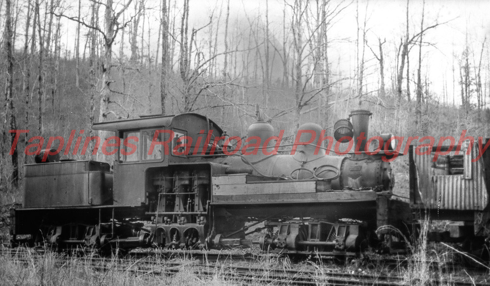 Champion Fibre Co. Shay #9 Fires Creek, NC. 1947  NEW 5X8 PHOTO