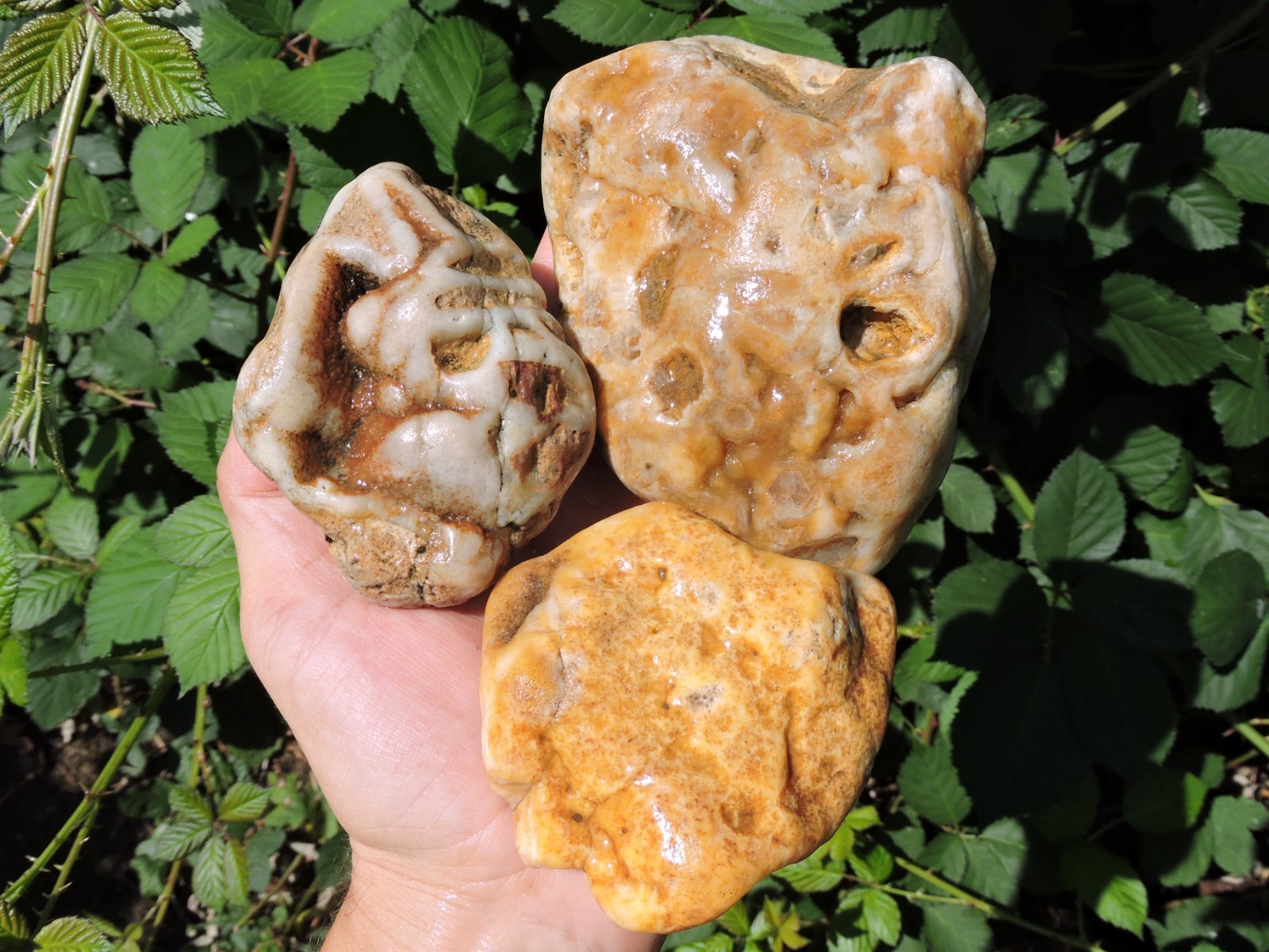 3 Quartz PNW SUGAR AGATE Rocks w/ Inclusions & Hexagonal Crystals (2.8Lb TOTAL)