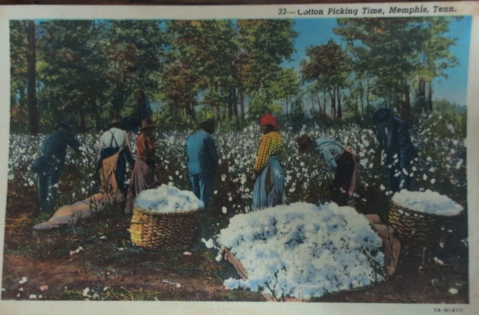 Vintage Memphis TN Cotton Picking Time Linen Postcard Black Americana Unused