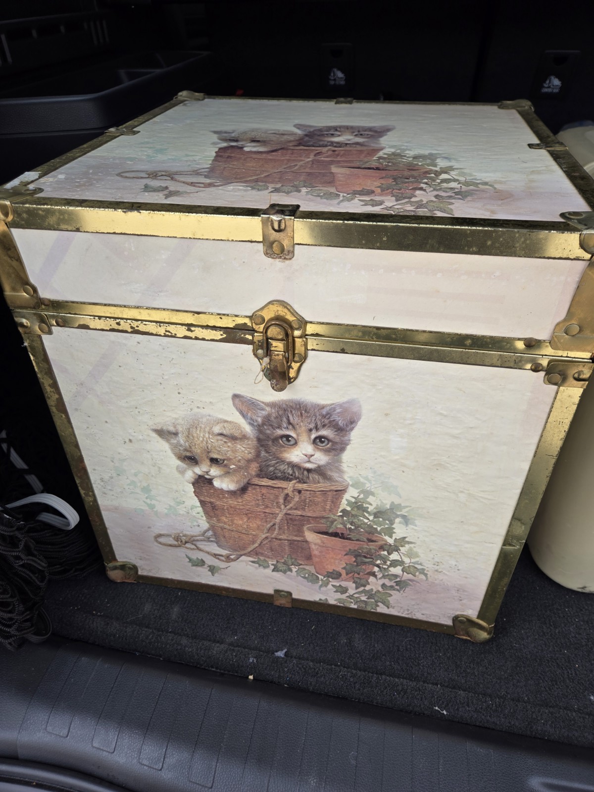 Vintage Seward Gold Trim Toy Box Cube Trunk Chest Cat Kitty Kitten Kitsch