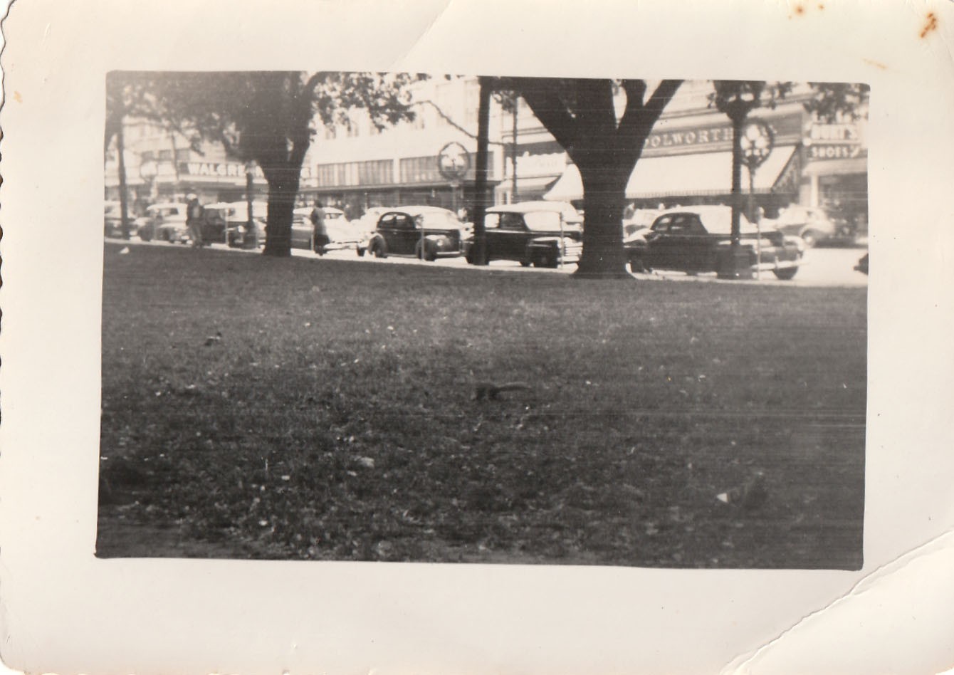Vintage Photo Street Scene Store Fronts Woolworth Walgreens Classic Cars USA