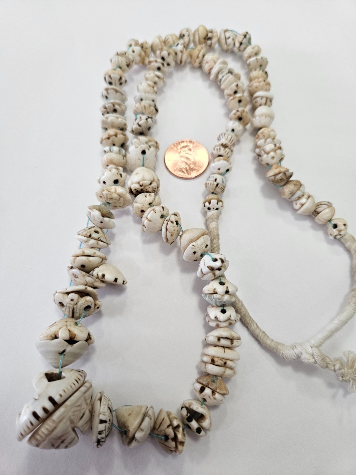 Antique Conus Dowry Shell Necklace – Traditional & Historic