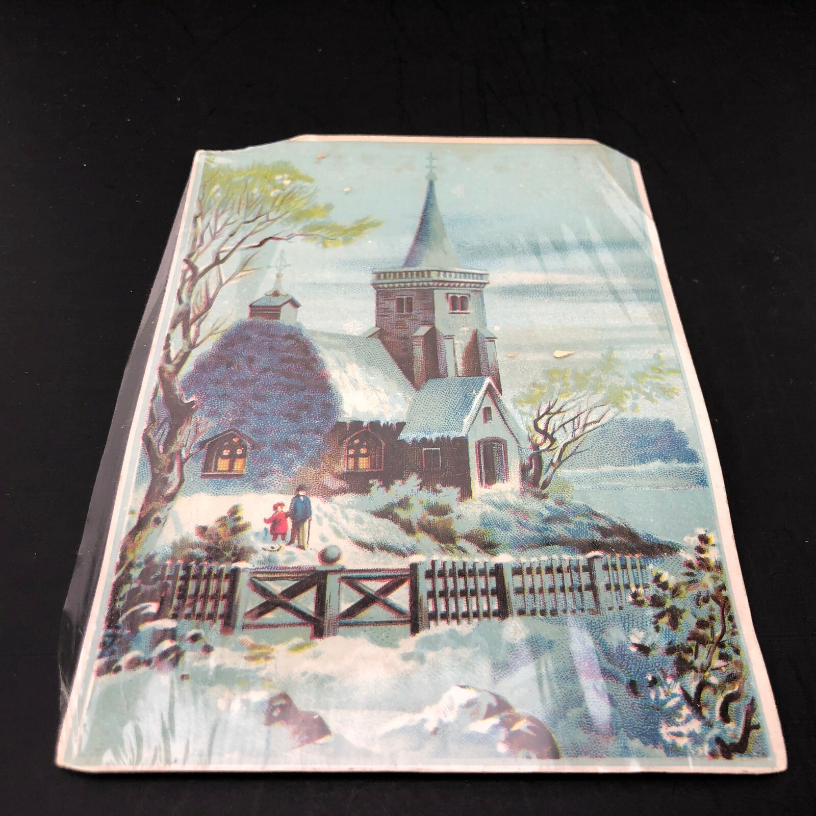 VTG Victorian Trade Card Malena Ointment & Salve Warriors Mark, PA Advertising 