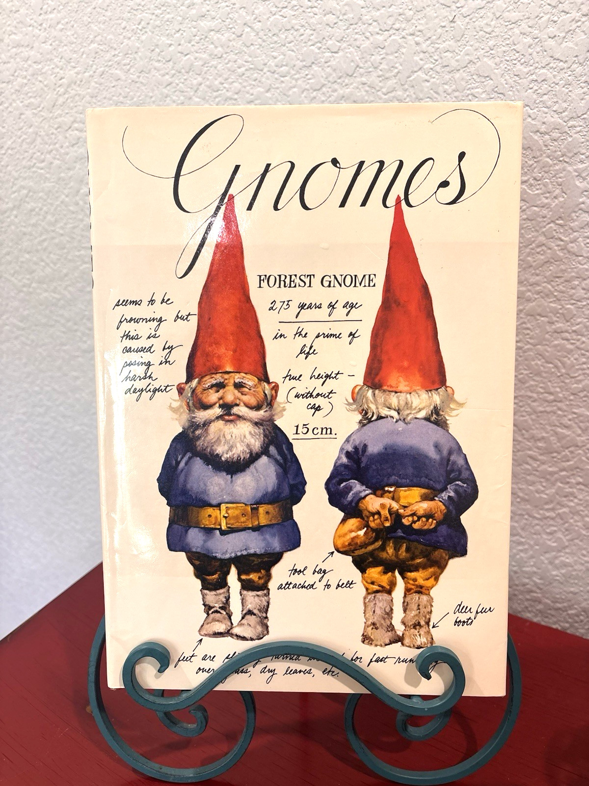 GNOMES by Wil Nuygen & Rien Poortvliet 1977 Hardcover Signed 212 Pages ~NICE~