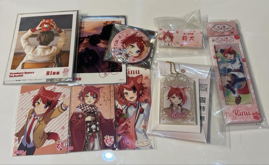 Rinu-Kun Goods Set