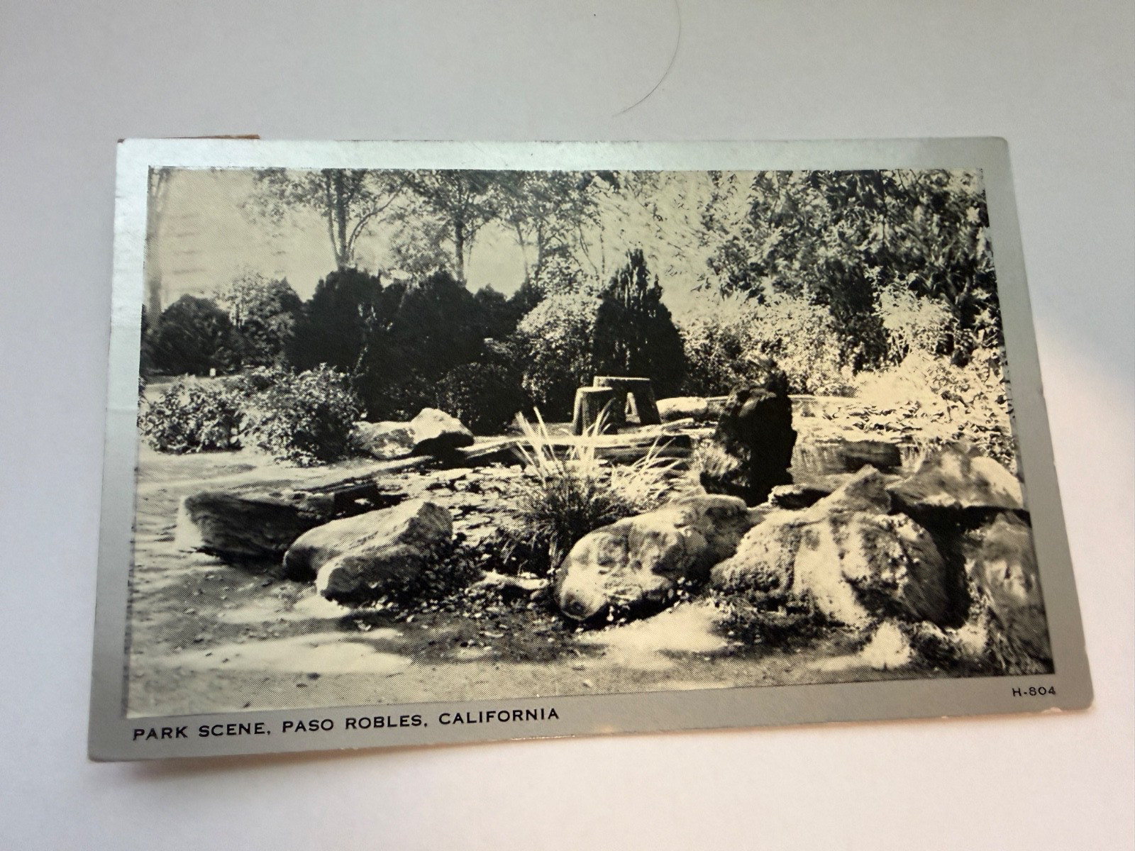 Park Scene Paso Robles CA Postcard Posted 1945 Park Scene Paso Robles CA Postcard Posted 1945