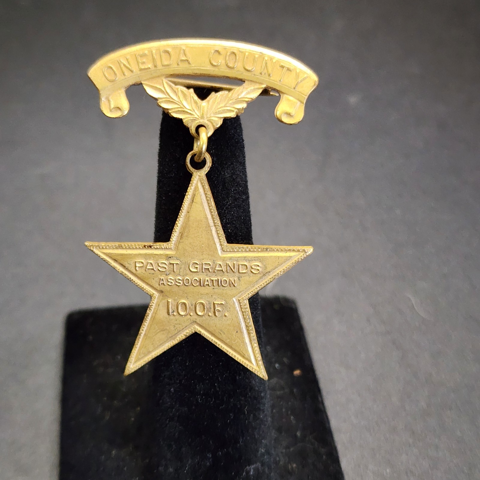 Vintage IOOF Past Grands Association Oneida County NY Medal Pin Badge