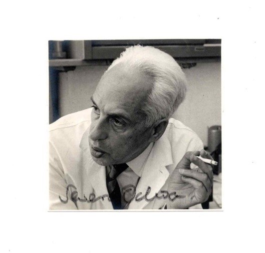 RARE Vintage Severo Ochoa Nobel Prize Physician SIGNED AUTOGRAPHED Photo