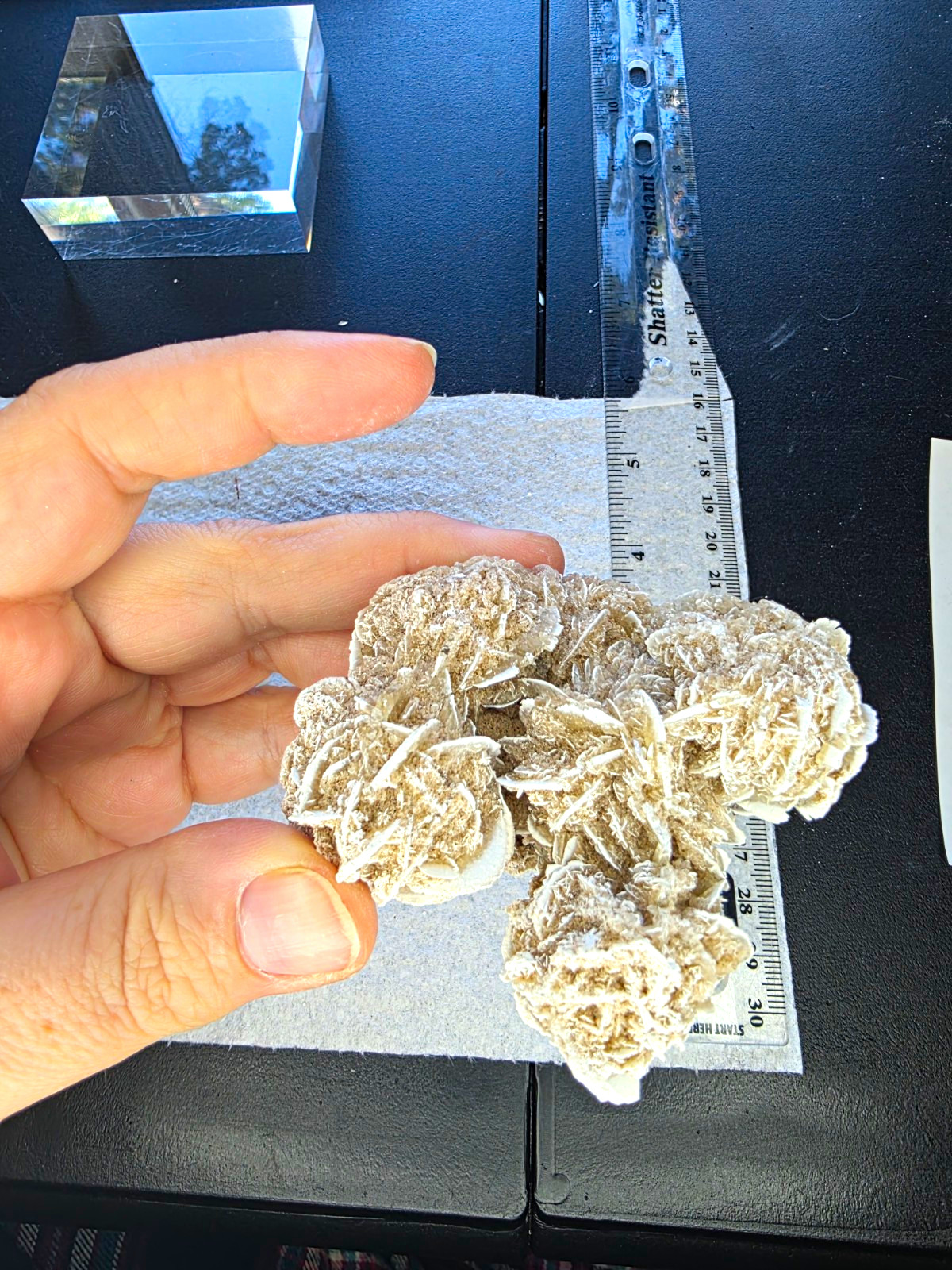 Desert Rose Selenite #17 Chihuahua Mexico 110g