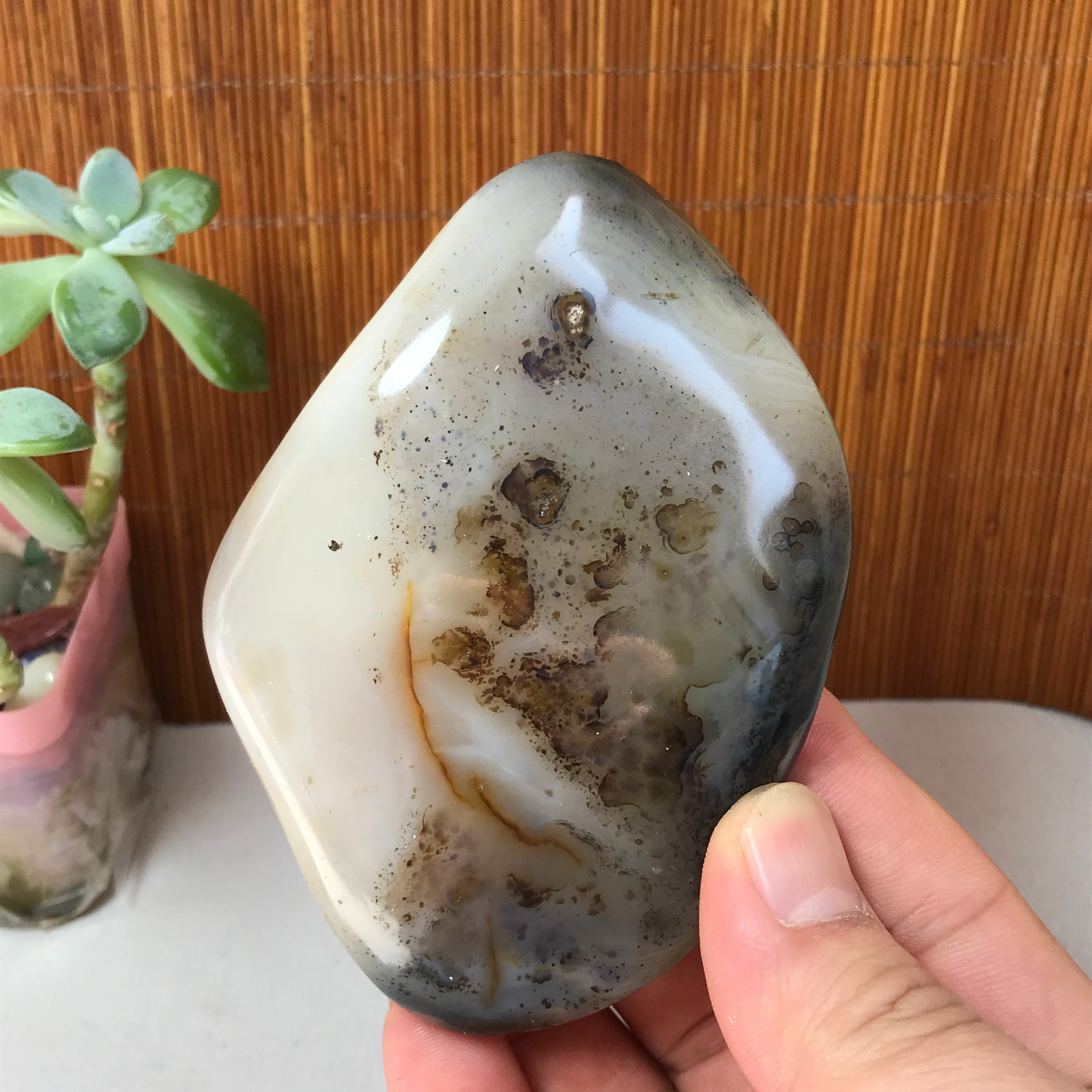 102-70-20mm Natural aquatic plants agate pretty Crystal specimens 204g A1873
