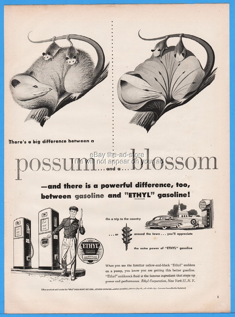 1951 Ethyl Gasoline Service Station Difference Between a Possum and a Blossom Ad