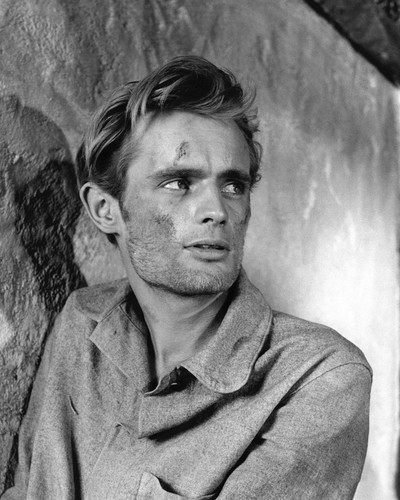 DAVID MCCALLUM PRINTS AND POSTERS 105858 DAVID MCCALLUM PRINTS AND POSTERS 105858