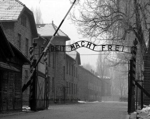Auschwitz Concentration Camp - Work will set you free - WW2 WWII Re-Print 4x6