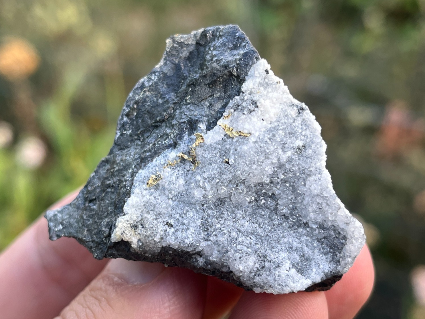 Crystallized Native Gold, Pyrite, etc. - McLaughlin Mine, Napa Co., California