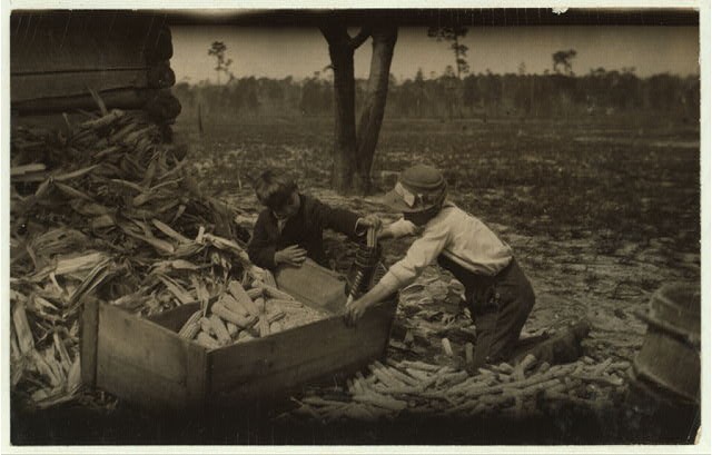 Photo:Dublin Georgia 1915 Boys Thrashing Corn Farm Labor School Hours Hine