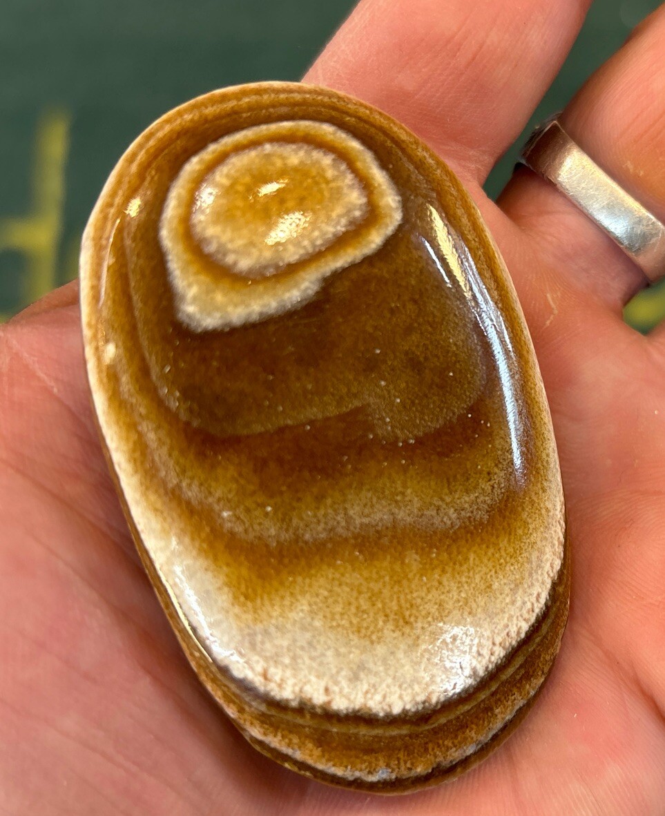 Small Chocolate Calcite Aragonite Palm Stone, Coffee Calcite Small Chocolate Calcite Aragonite Palm Stone, Coffee Calcite