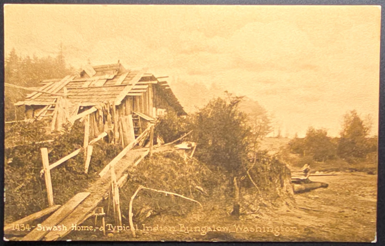 Swash Home Typical Indian Bungalow Washington Postcard c1910s–1920s Swash Home Typical Indian Bungalow Washington Postcard c1910s–1920s