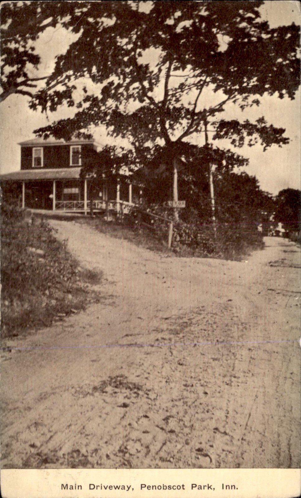 Penobscot Park Maine ME Main Driveway Penobscot Park Inn c1910 Vintage Postcard Penobscot Park Maine ME Main Driveway Penobscot Park Inn c1910 Vintage Postcard