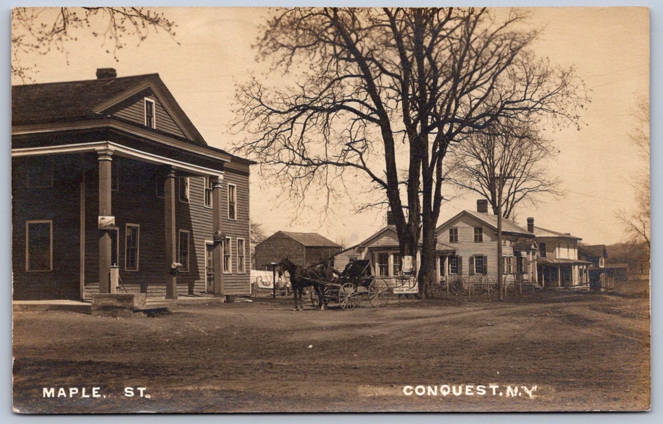 K47/ Conquest New York RPPC Postcard c1910 Maple Street Homes 229 K47/ Conquest New York RPPC Postcard c1910 Maple Street Homes 229