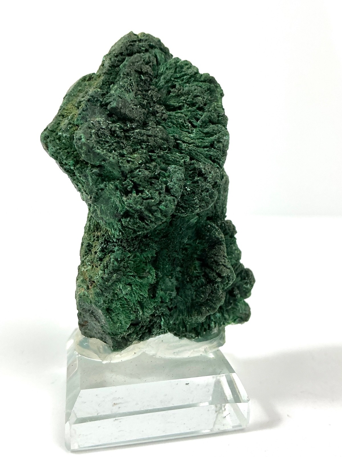 Malachite Botryoidal Fibrous Specimen Mindigi Mine Congo 62g Stand Included