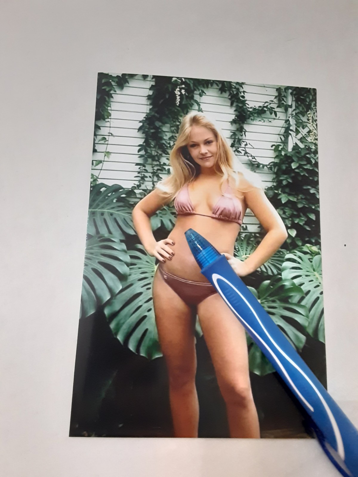 CHARLENE TILTON, DALLAS TV SHOW BEAUTIFUL ACTRESS, 4X6 GLOSSY COLOR PHOTO CHARLENE TILTON, DALLAS TV SHOW BEAUTIFUL ACTRESS, 4X6 GLOSSY COLOR PHOTO