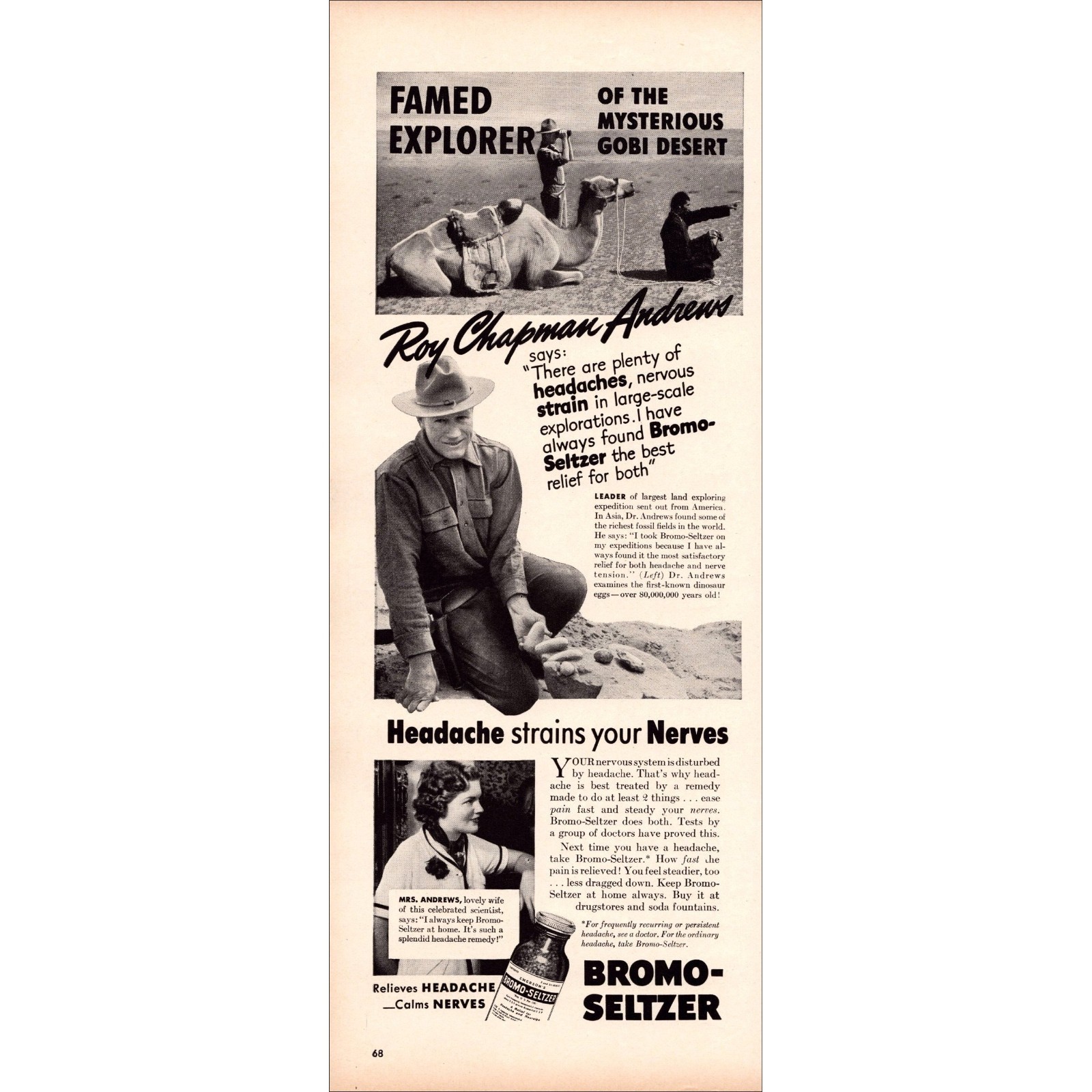 1939 Bromo-Seltzer Roy Chapman Andrews Original Vintage Print Ad