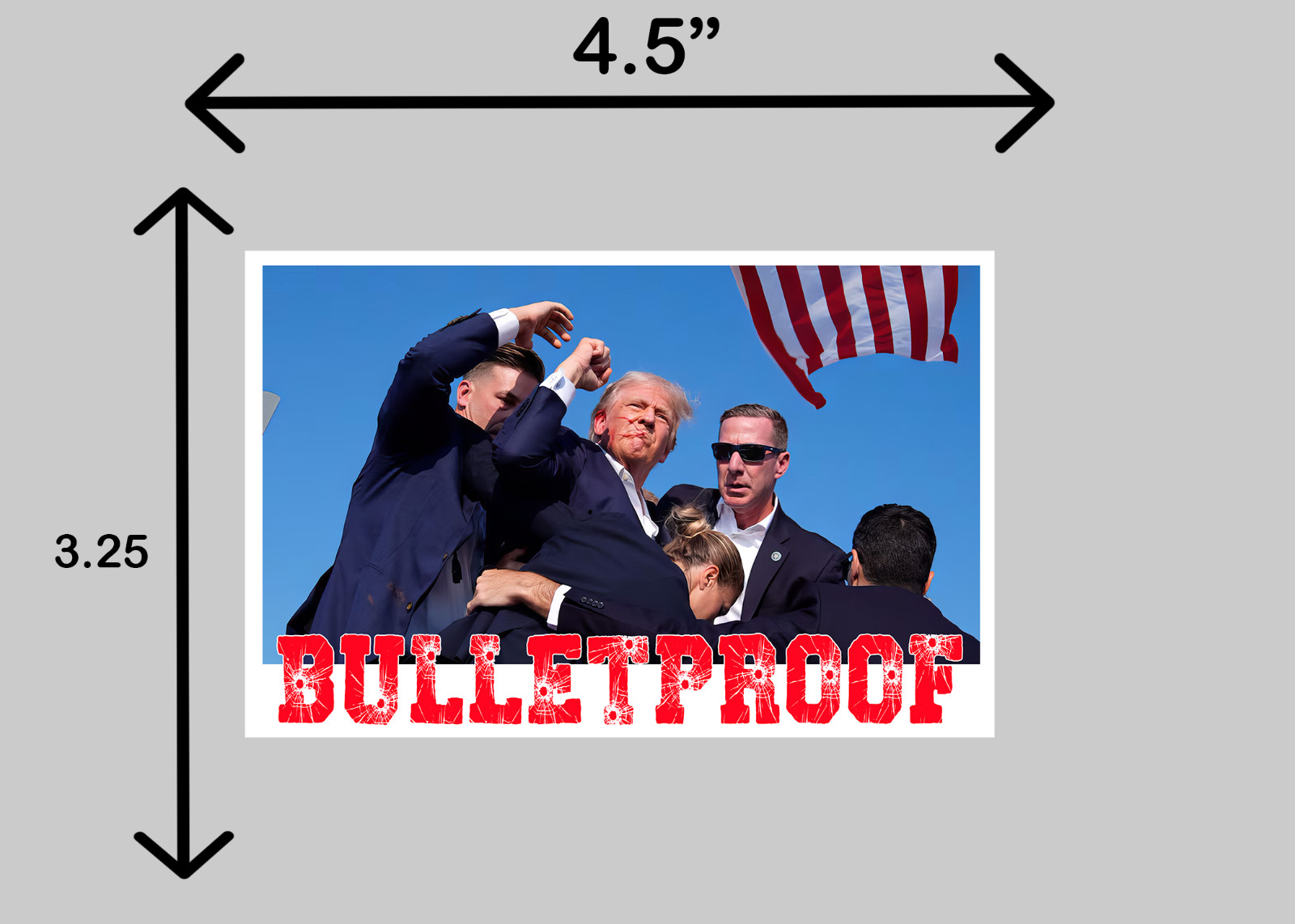 TRUMP 2024 