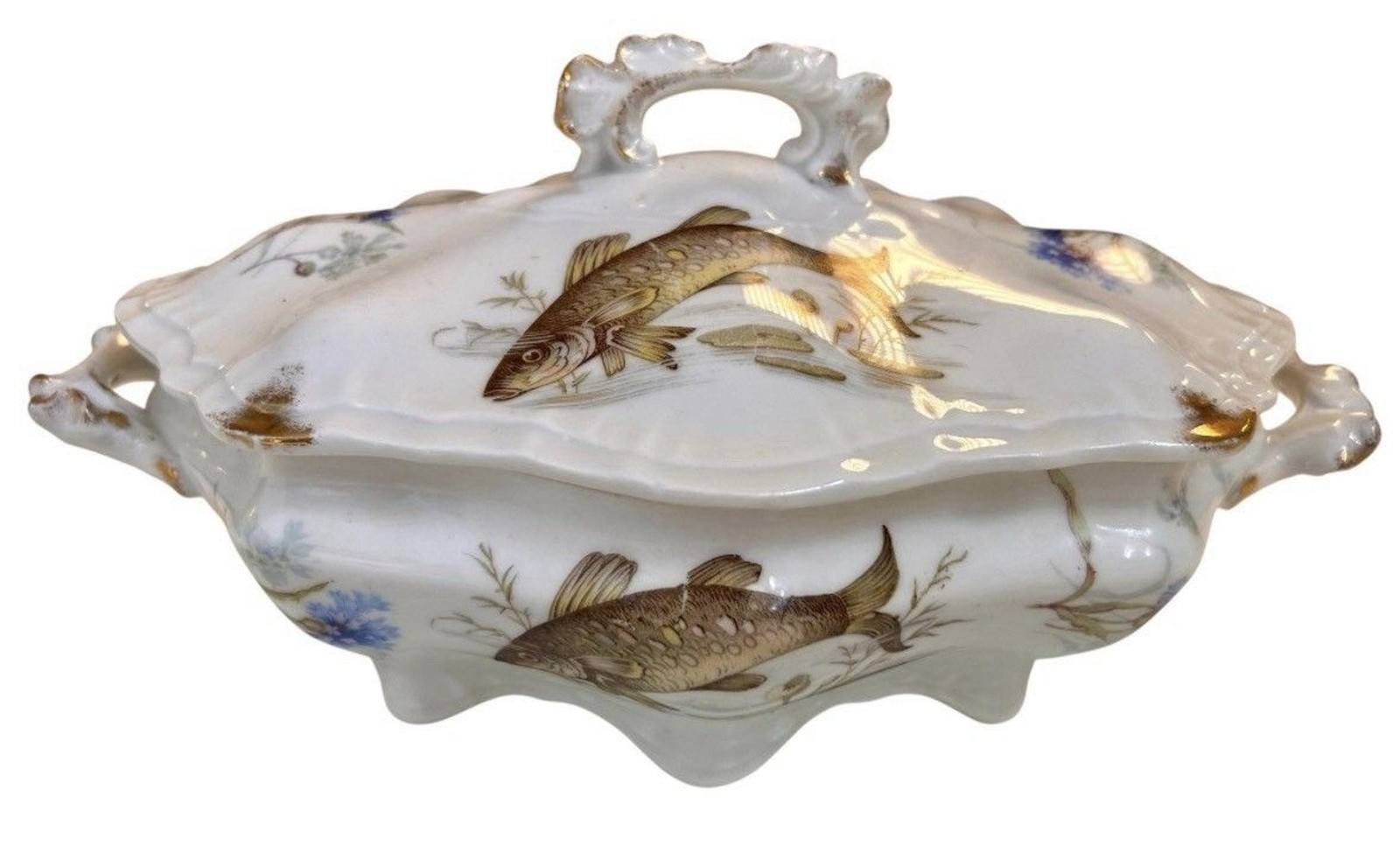 Antique Very Rare Gebruder Haidinger Fish Themed Soup Tureen In MINT Condition Antique Very Rare Gebruder Haidinger Fish Themed Soup Tureen In MINT Condition