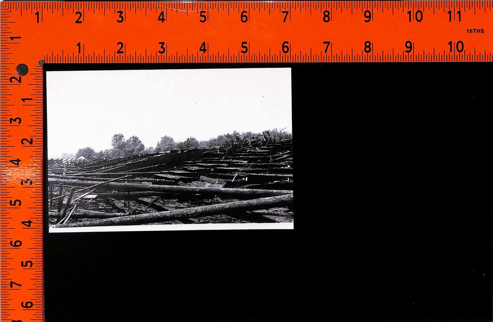 Photograph Fallen Trees Timber Logging Operation Clearcut Forest 2006