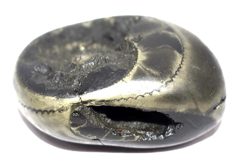 Rare Golden Trivikrama Shaligram  - Gandaki River Nepal