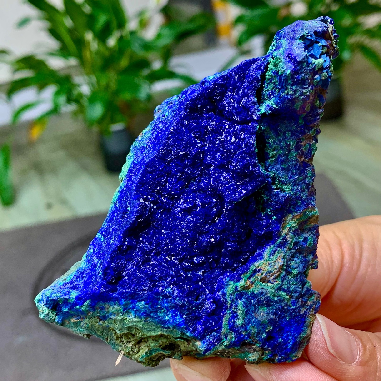 262G BEST NATURAL Azurite/Malachite crystalminerals specimens