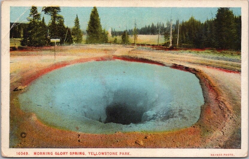 Yellowstone National Park Wyoming Postcard \